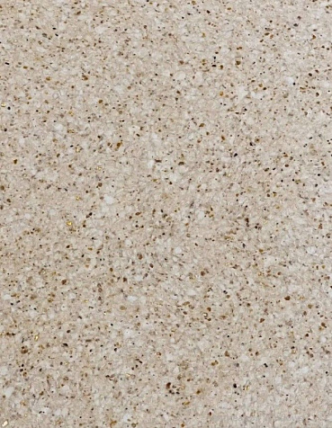 Декоративное покрытие SILK PLASTER Alegra 171 купить в СОМ
