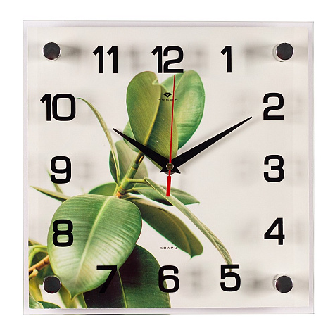 Часы настенные Фикус 25х25см 2525-051 купить в СОМ